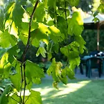 Apartament Ourmadeira - Casa Do Feitor Funchal (Madeira)