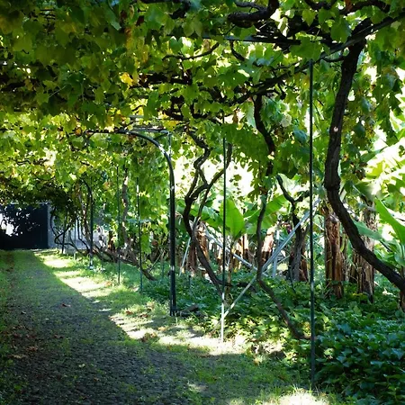 Ourmadeira - Casa Do Feitor, Secluded アパート *