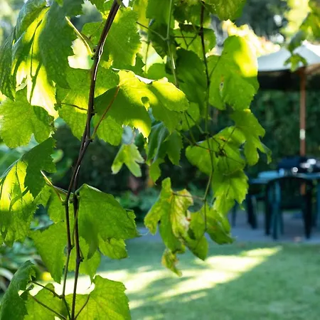 شقة Ourmadeira - Casa Do Feitor, Secluded فونشال