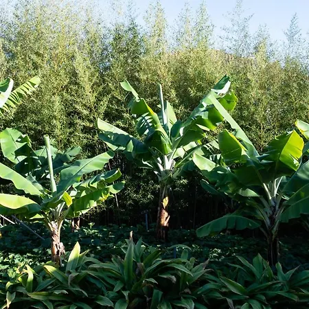 Ourmadeira - Casa Do Feitor, Secluded